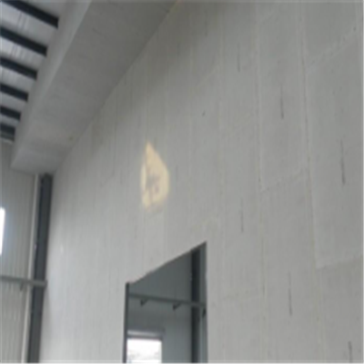 颍泉宁波ALC板|EPS加气板隔墙与混凝土整浇联接的实验研讨